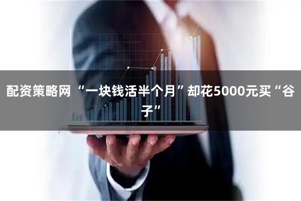配资策略网 “一块钱活半个月”却花5000元买“谷子”